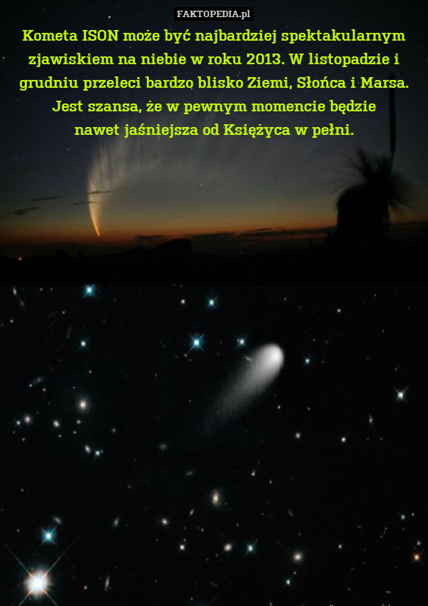 Kometa ISON może być najbardziej spektakularnym zjawiskiem na niebie w roku 2013. W listopadzie i grudniu przeleci bardzo blisko Ziemi, Słońca i Marsa. Jest szansa, że w pewnym momencie będzie
nawet jaśniejsza od Księżyca w pełni. 