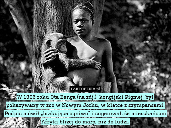 W 1906 roku Ota Benga (na zdj.), kongijski Pigmej, był pokazywany w zoo w Nowym Jorku, w klatce z szympansami. Podpis mówił „brakujące ogniwo” i sugerował, że mieszkańcom Afryki bliżej do małp, niż do ludzi. 