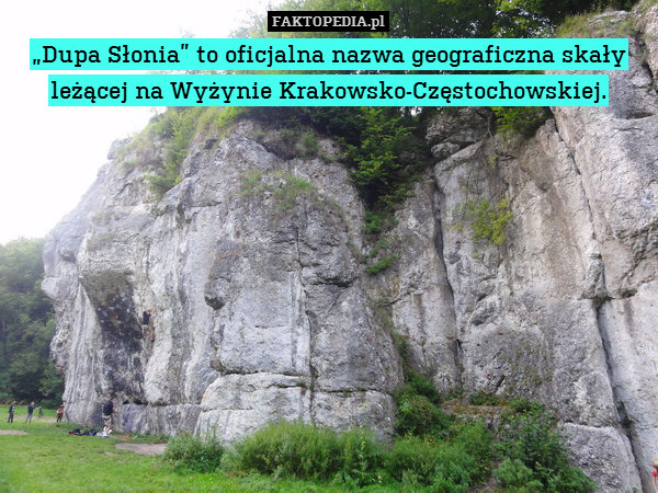 „Dupa Słonia” to oficjalna nazwa geograficzna skały leżącej na Wyżynie Krakowsko-Częstochowskiej. 