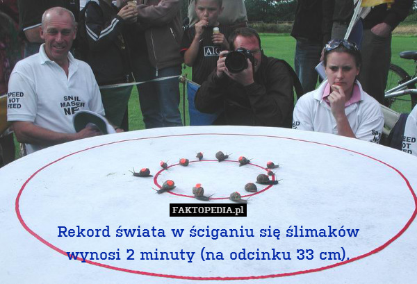Rekord świata w ściganiu się ślimaków
wynosi 2 minuty (na odcinku 33 cm). 