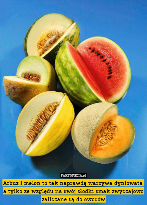 Arbuz i melon to tak naprawdę warzywa dyniowate, a tylko ze względu na swój słodki smak zwyczajowo zaliczane są do owoców 