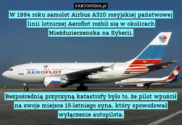 W 1994 roku samolot Airbus A310 rosyjskiej państwowej linii lotniczej Aerofłot rozbił się w okolicach Mieżdurieczenska na Syberii.






Bezpośrednią przyczyną katastrofy było to, że pilot wpuścił na swoje miejsce 15-letniego syna, który spowodował wyłączenie autopilota. 
