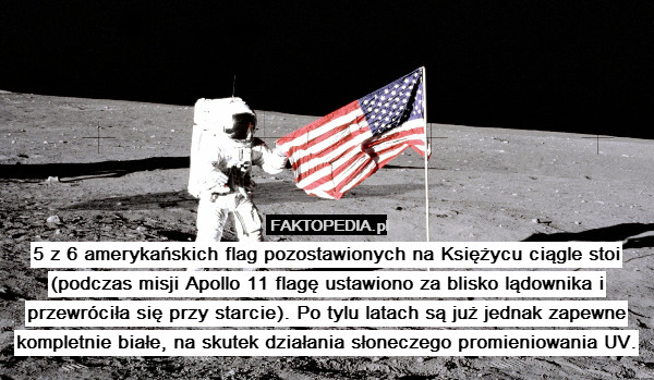 5 z 6 amerykańskich flag pozostawionych na Księżycu ciągle stoi (podczas misji Apollo 11 flagę ustawiono za blisko lądownika i przewróciła się przy starcie). Po tylu latach są już jednak zapewne kompletnie białe, na skutek działania słoneczego promieniowania UV. 