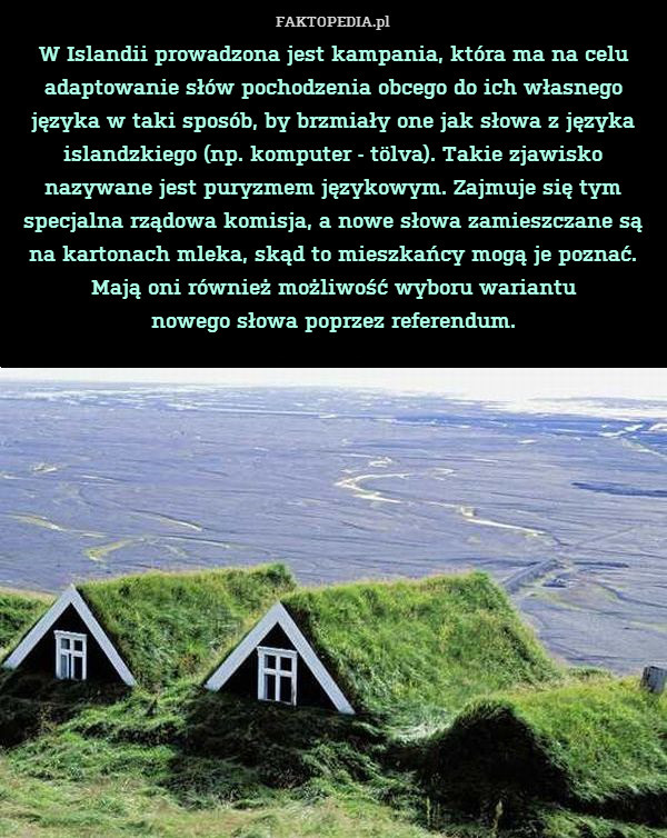 W Islandii prowadzona jest kampania, która ma na celu adaptowanie słów pochodzenia obcego do ich własnego języka w taki sposób, by brzmiały one jak słowa z języka islandzkiego (np. komputer - tölva). Takie zjawisko nazywane jest puryzmem językowym. Zajmuje się tym specjalna rządowa komisja, a nowe słowa zamieszczane są na kartonach mleka, skąd to mieszkańcy mogą je poznać. Mają oni również możliwość wyboru wariantu
nowego słowa poprzez referendum. 