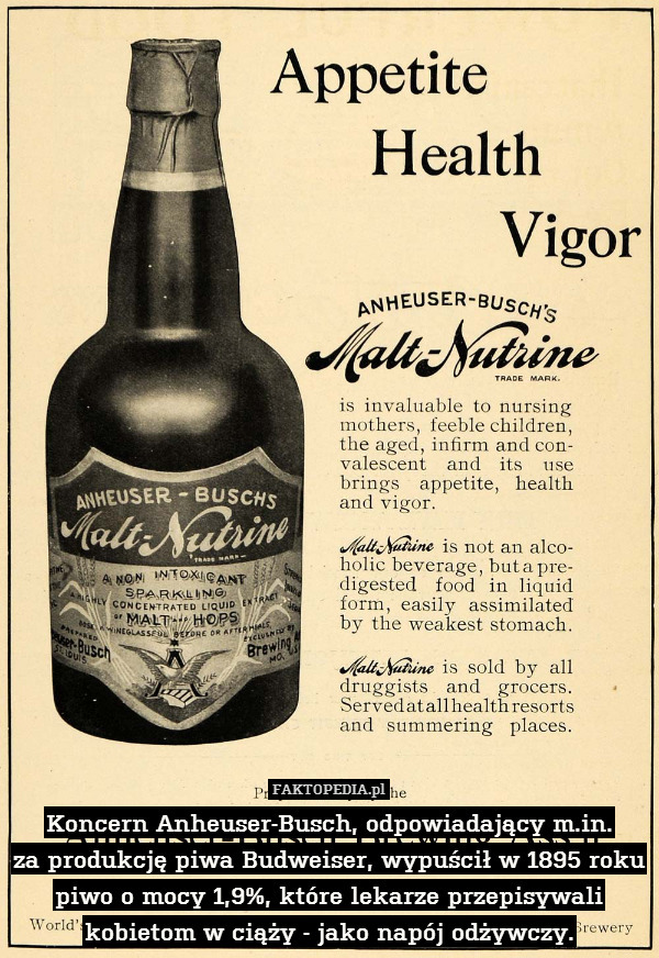 Koncern Anheuser-Busch, odpowiadający m.in.
za produkcję piwa Budweiser, wypuścił w 1895 roku piwo o mocy 1,9%, które lekarze przepisywali kobietom w ciąży - jako napój odżywczy. 