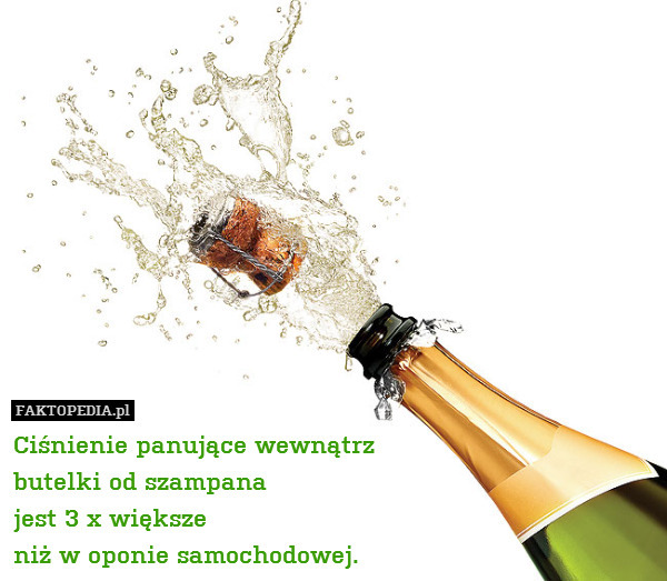 Ciśnienie panujące wewnątrz
butelki od szampana
jest 3 x większe
niż w oponie samochodowej. 