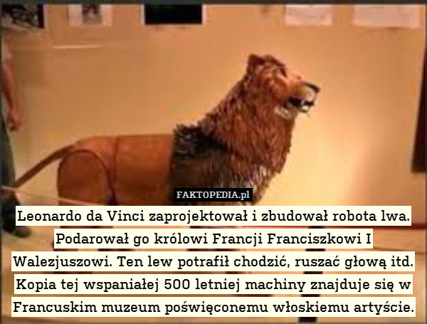 Leonardo da Vinci zaprojektował i zbudował robota lwa. Podarował go królowi Francji Franciszkowi I Walezjuszowi. Ten lew potrafił chodzić, ruszać głową itd. Kopia tej wspaniałej 500 letniej machiny znajduje się w Francuskim muzeum poświęconemu włoskiemu artyście. 