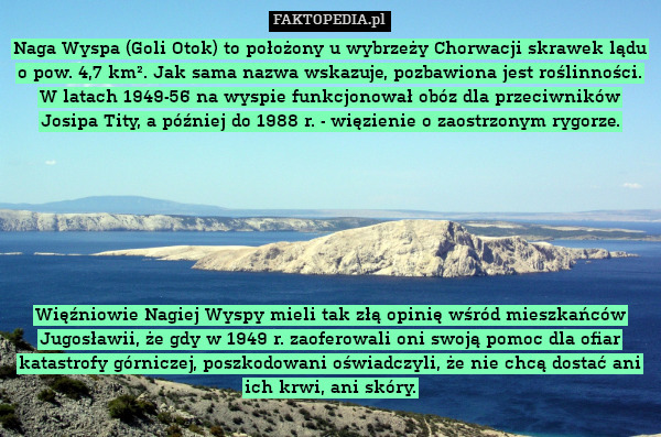 Naga Wyspa (Goli Otok) to położony u wybrzeży Chorwacji skrawek lądu o pow. 4,7 km². Jak sama nazwa wskazuje, pozbawiona jest roślinności. W latach 1949-56 na wyspie funkcjonował obóz dla przeciwników Josipa Tity, a później do 1988 r. - więzienie o zaostrzonym rygorze.







Więźniowie Nagiej Wyspy mieli tak złą opinię wśród mieszkańców Jugosławii, że gdy w 1949 r. zaoferowali oni swoją pomoc dla ofiar katastrofy górniczej, poszkodowani oświadczyli, że nie chcą dostać ani ich krwi, ani skóry. 