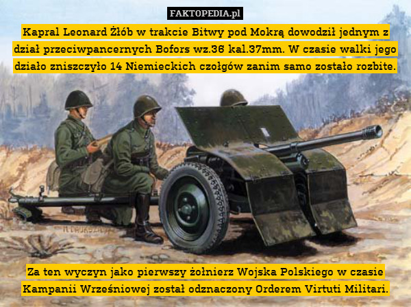 Kapral Leonard Żłób w trakcie Bitwy pod Mokrą dowodził jednym z dział przeciwpancernych Bofors wz.36 kal.37mm. W czasie walki jego działo zniszczyło 14 Niemieckich czołgów zanim samo zostało rozbite.











Za ten wyczyn jako pierwszy żołnierz Wojska Polskiego w czasie Kampanii Wrześniowej został odznaczony Orderem Virtuti Militari. 