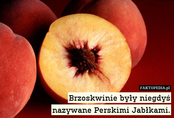 Brzoskwinie były niegdyś
nazywane Perskimi Jabłkami. 