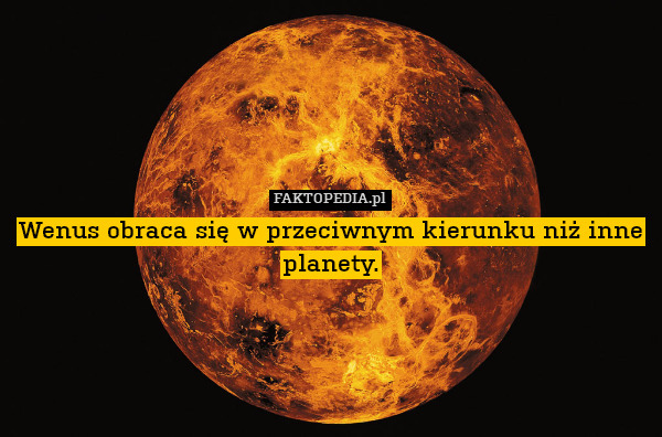 Wenus obraca się w przeciwnym kierunku niż inne planety. 