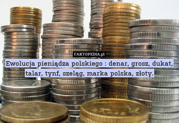 Ewolucja pieniądza polskiego : denar, grosz, dukat, talar, tynf, szeląg, marka polska, złoty. 