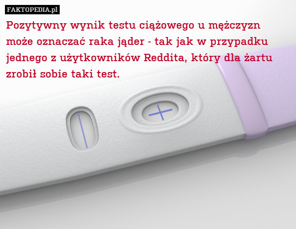 Pozytywny wynik testu ciążowego u mężczyzn może oznaczać raka jąder - tak jak w przypadku jednego z użytkowników Reddita, który dla żartu zrobił sobie taki test. 