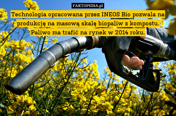 Technologia opracowana przez INEOS Bio pozwala na produkcję na masową skalę biopaliw z kompostu.
Paliwo ma trafić na rynek w 2014 roku. 