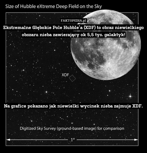Ekstremalne Głębokie Pole Hubble’a (XDF) to obraz niewielkiego obszaru nieba zawierający ok 5,5 tys. galaktyk!









Na grafice pokazano jak niewielki wycinek nieba zajmuje XDF. 