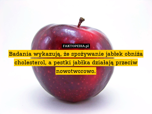 Badania wykazują, że spożywanie jabłek obniża cholesterol, a pestki jabłka działają przeciw nowotworowo. 