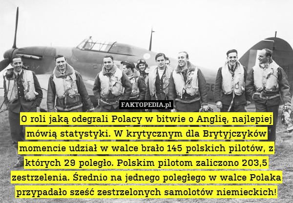 O roli jaką odegrali Polacy w bitwie o Anglię, najlepiej mówią statystyki. W krytycznym dla Brytyjczyków momencie udział w walce brało 145 polskich pilotów, z których 29 poległo. Polskim pilotom zaliczono 203,5 zestrzelenia. Średnio na jednego poległego w walce Polaka przypadało sześć zestrzelonych samolotów niemieckich! 