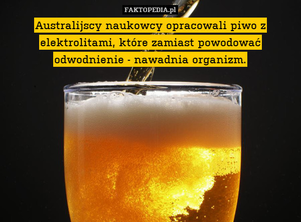 Australijscy naukowcy opracowali piwo z elektrolitami, które zamiast powodować odwodnienie - nawadnia organizm. 