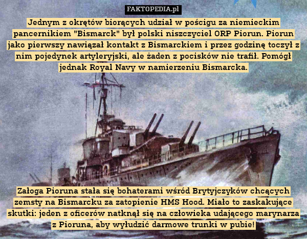 Jednym z okrętów biorących udział w pościgu za niemieckim pancernikiem "Bismarck" był polski niszczyciel ORP Piorun. Piorun jako pierwszy nawiązał kontakt z Bismarckiem i przez godzinę toczył z nim pojedynek artyleryjski, ale żaden z pocisków nie trafił. Pomógł jednak Royal Navy w namierzeniu Bismarcka.










Załoga Pioruna stała się bohaterami wśród Brytyjczyków chcących zemsty na Bismarcku za zatopienie HMS Hood. Miało to zaskakujące skutki: jeden z oficerów natknął się na człowieka udającego marynarza z Pioruna, aby wyłudzić darmowe trunki w pubie! 
