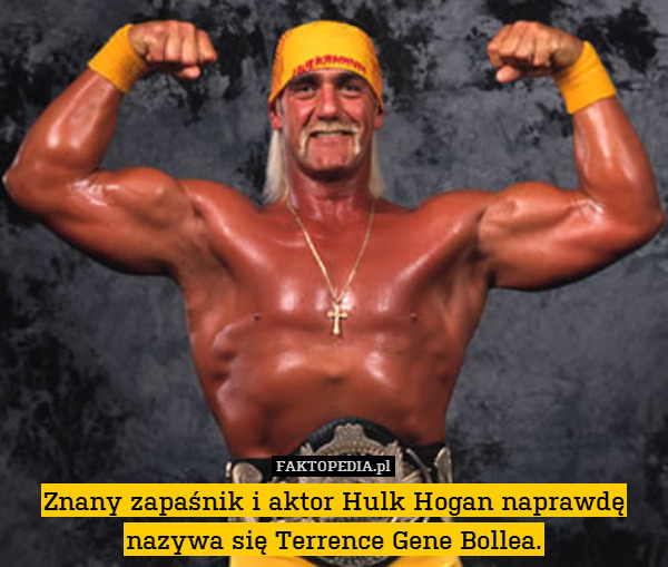 Znany zapaśnik i aktor Hulk Hogan naprawdę nazywa się Terrence Gene Bollea. 