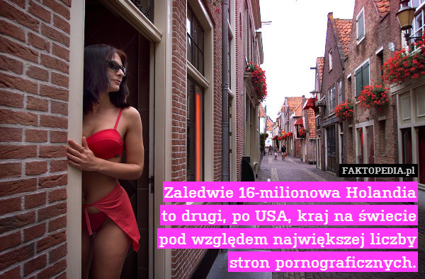 Zaledwie 16-milionowa Holandia
to drugi, po USA, kraj na świecie
pod względem największej liczby
stron pornograficznych. 
