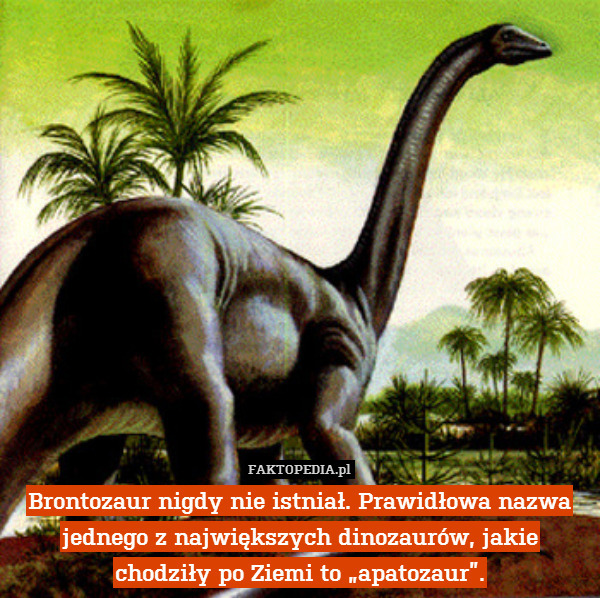 Brontozaur nigdy nie istniał. Prawidłowa nazwa jednego z największych dinozaurów, jakie chodziły po Ziemi to „apatozaur”. 