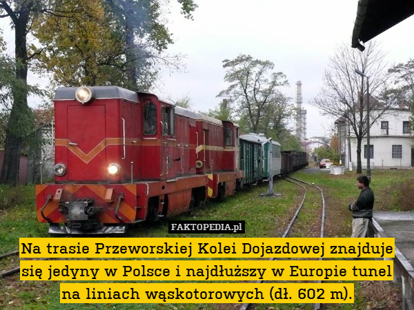 Na trasie Przeworskiej Kolei Dojazdowej znajduje się jedyny w Polsce i najdłuższy w Europie tunel
na liniach wąskotorowych (dł. 602 m). 