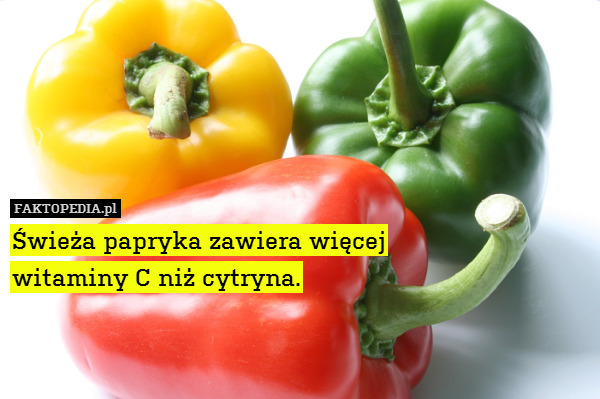 Świeża papryka zawiera więcej
witaminy C niż cytryna. 