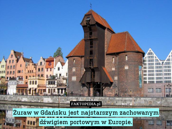Żuraw w Gdańsku jest najstarszym zachowanym
dźwigiem portowym w Europie. 