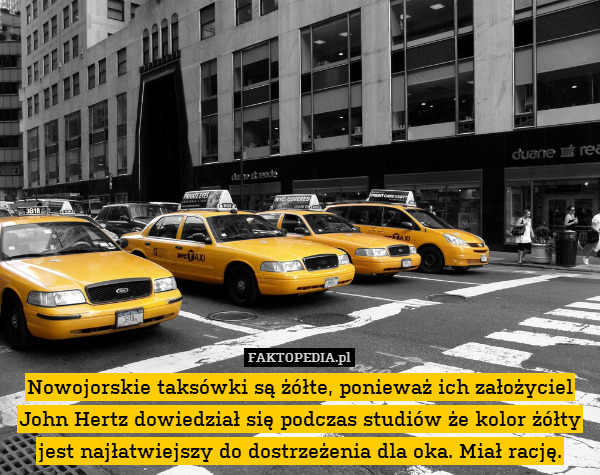 Nowojorskie taksówki są żółte, ponieważ ich założyciel John Hertz dowiedział się podczas studiów że kolor żółty jest najłatwiejszy do dostrzeżenia dla oka. Miał rację. 