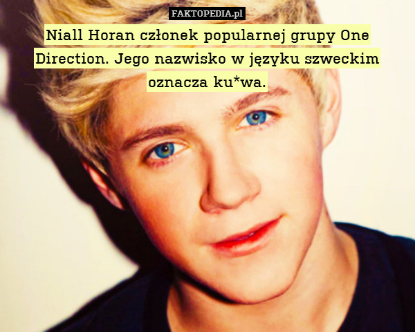 Niall Horan członek popularnej grupy One Direction. Jego nazwisko w języku szweckim oznacza ku*wa. 