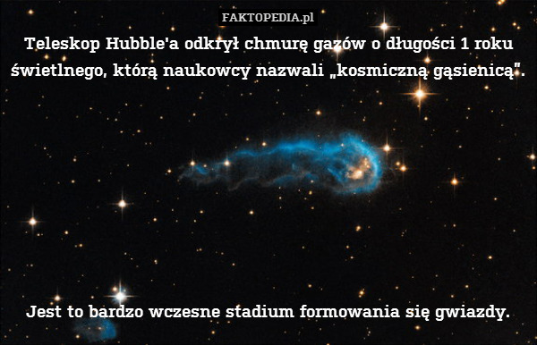 Teleskop Hubble&apos;a odkrył chmurę gazów o długości 1 roku świetlnego, którą naukowcy nazwali „kosmiczną gąsienicą”.








Jest to bardzo wczesne stadium formowania się gwiazdy. 