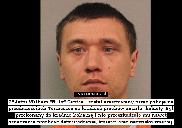 28-letni William "Billy" Cantrell został aresztowany przez policję na przedmieściach Tennessee za kradzież prochów zmarłej kobiety. Był przekonany, że kradnie kokainę i nie przeszkadzało mu nawet oznaczenie prochów: daty urodzenia, śmierci oraz nazwisko zmarłej. 