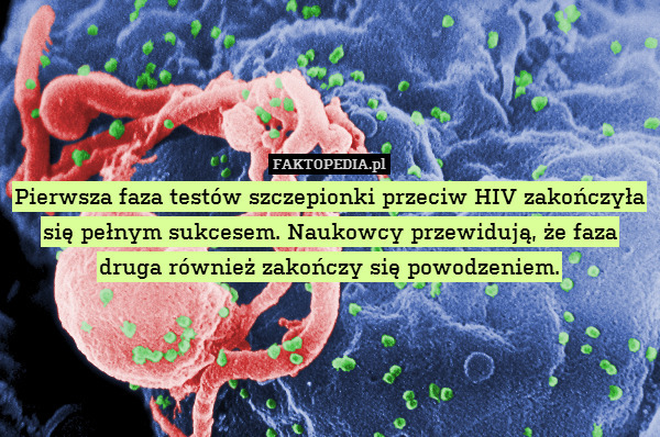 Pierwsza faza testów szczepionki przeciw HIV zakończyła się pełnym sukcesem. Naukowcy przewidują, że faza druga również zakończy się powodzeniem. 