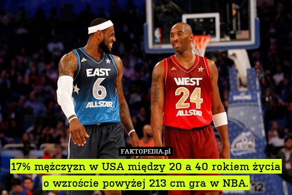17% mężczyzn w USA między 20 a 40 rokiem życia
o wzroście powyżej 213 cm gra w NBA. 