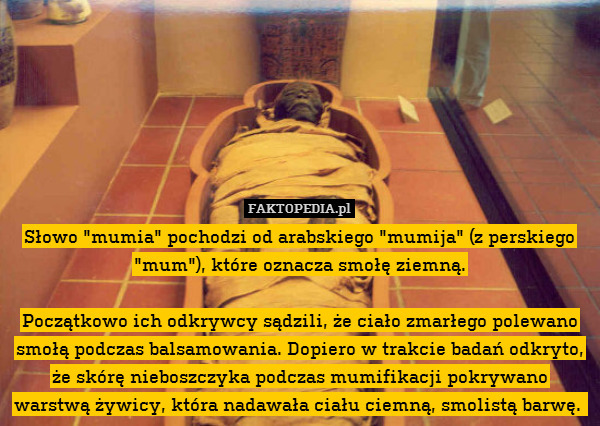 Słowo "mumia" pochodzi od arabskiego "mumija" (z perskiego "mum"), które oznacza smołę ziemną.

Początkowo ich odkrywcy sądzili, że ciało zmarłego polewano smołą podczas balsamowania. Dopiero w trakcie badań odkryto, że skórę nieboszczyka podczas mumifikacji pokrywano warstwą żywicy, która nadawała ciału ciemną, smolistą barwę. 
