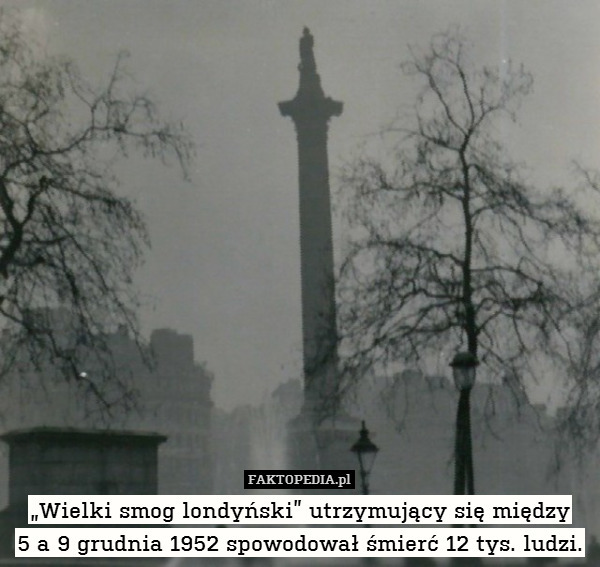 „Wielki smog londyński” utrzymujący się między
5 a 9 grudnia 1952 spowodował śmierć 12 tys. ludzi. 