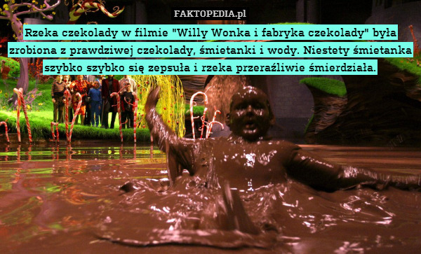 Rzeka czekolady w filmie "Willy Wonka i fabryka czekolady" była zrobiona z prawdziwej czekolady, śmietanki i wody. Niestety śmietanka szybko szybko się zepsuła i rzeka przeraźliwie śmierdziała. 