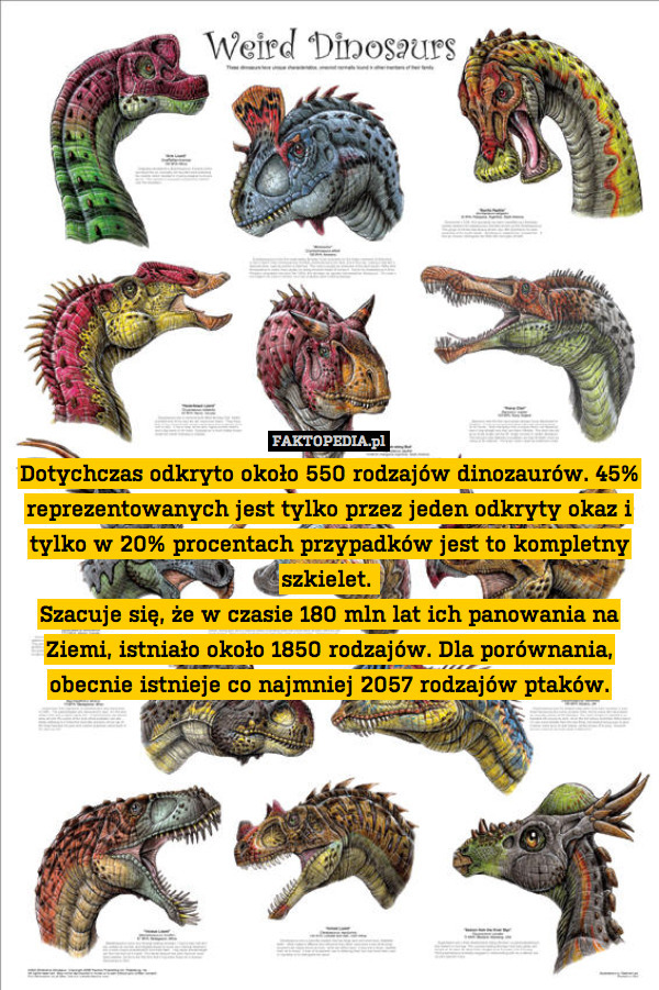 Dotychczas odkryto około 550 rodzajów dinozaurów. 45% reprezentowanych jest tylko przez jeden odkryty okaz i tylko w 20% procentach przypadków jest to kompletny szkielet. 
Szacuje się, że w czasie 180 mln lat ich panowania na Ziemi, istniało około 1850 rodzajów. Dla porównania, obecnie istnieje co najmniej 2057 rodzajów ptaków. 
