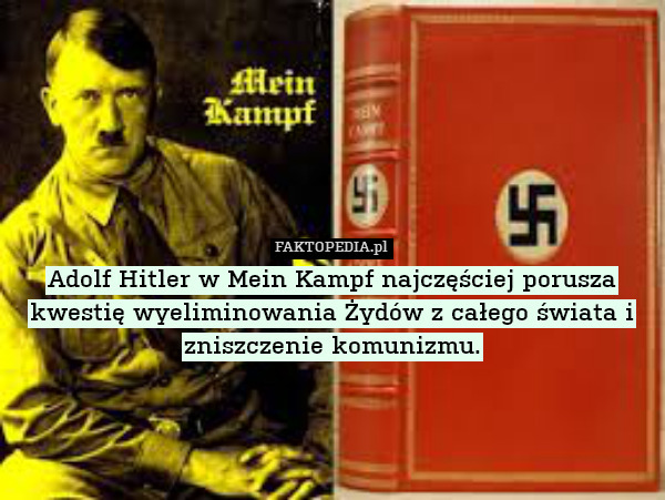 Adolf Hitler w Mein Kampf najczęściej porusza kwestię wyeliminowania Żydów z całego świata i zniszczenie komunizmu. 