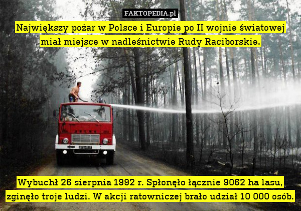 Największy pożar w Polsce i Europie po II wojnie światowej miał miejsce w nadleśnictwie Rudy Raciborskie.









Wybuchł 26 sierpnia 1992 r. Spłonęło łącznie 9062 ha lasu, zginęło troje ludzi. W akcji ratowniczej brało udział 10 000 osób. 