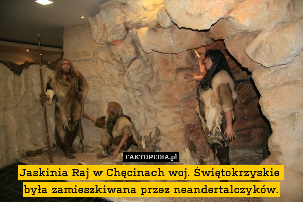Jaskinia Raj w Chęcinach woj. Świętokrzyskie 
była zamieszkiwana przez neandertalczyków. 