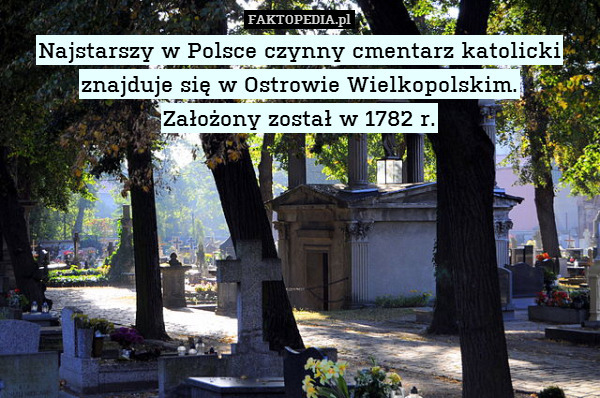 Najstarszy w Polsce czynny cmentarz katolicki znajduje się w Ostrowie Wielkopolskim.
Założony został w 1782 r. 