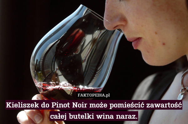 Kieliszek do Pinot Noir może pomieścić zawartość całej butelki wina naraz. 