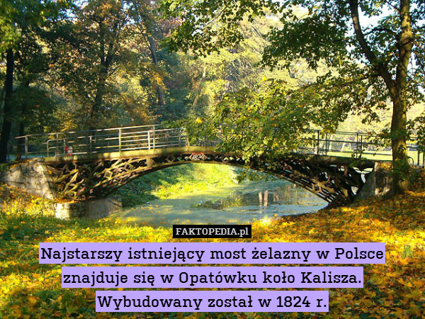 Najstarszy istniejący most żelazny w Polsce znajduje się w Opatówku koło Kalisza.
Wybudowany został w 1824 r. 