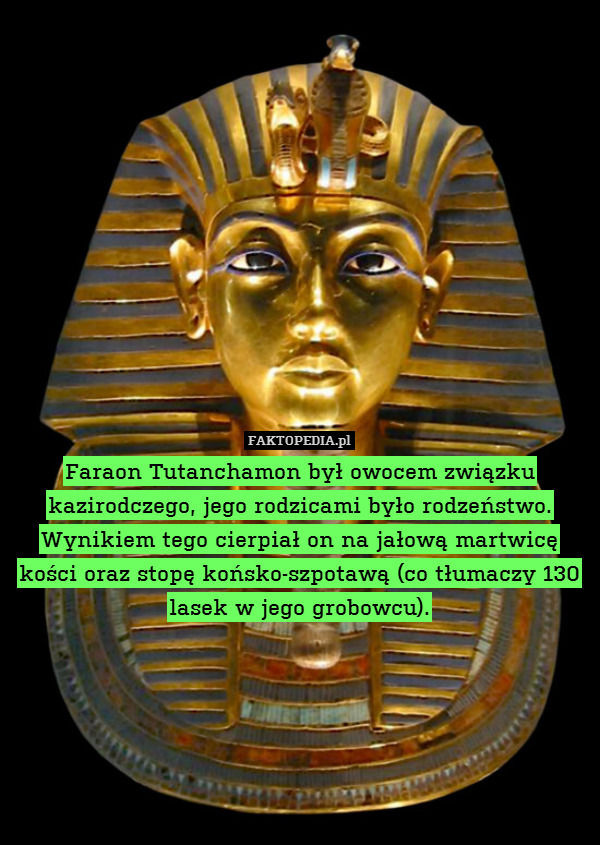 Faraon Tutanchamon był owocem związku kazirodczego, jego rodzicami było rodzeństwo. Wynikiem tego cierpiał on na jałową martwicę kości oraz stopę końsko-szpotawą (co tłumaczy 130 lasek w jego grobowcu). 