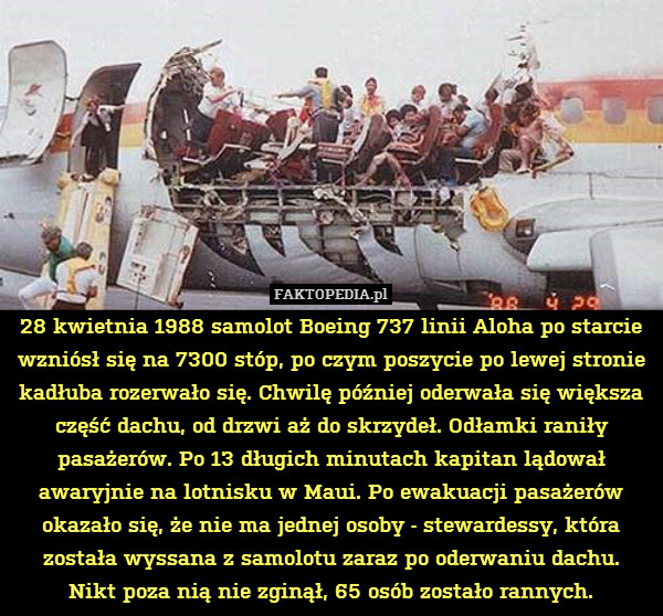 28 kwietnia 1988 samolot Boeing 737 linii Aloha po starcie wzniósł się na 7300 stóp, po czym poszycie po lewej stronie kadłuba rozerwało się. Chwilę później oderwała się większa część dachu, od drzwi aż do skrzydeł. Odłamki raniły pasażerów. Po 13 długich minutach kapitan lądował awaryjnie na lotnisku w Maui. Po ewakuacji pasażerów okazało się, że nie ma jednej osoby - stewardessy, która została wyssana z samolotu zaraz po oderwaniu dachu.
Nikt poza nią nie zginął, 65 osób zostało rannych. 