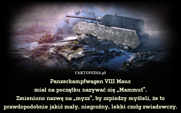 Panzerkampfwagen VIII Maus
miał na początku nazywać się „Mammut”.
Zmieniono nazwę na „mysz”, by szpiedzy myśleli, że to prawdopodobnie jakiś mały, niegroźny, lekki czołg zwiadowczy. 