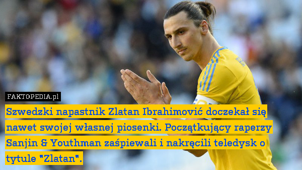Szwedzki napastnik Zlatan Ibrahimović doczekał się nawet swojej własnej piosenki. Początkujący raperzy Sanjin & Youthman zaśpiewali i nakręcili teledysk o tytule "Zlatan". 