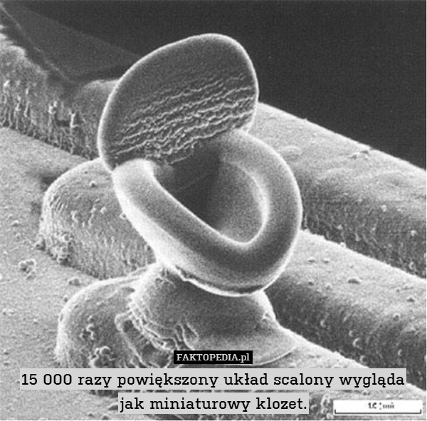 15 000 razy powiększony układ scalony wygląda jak miniaturowy klozet. 